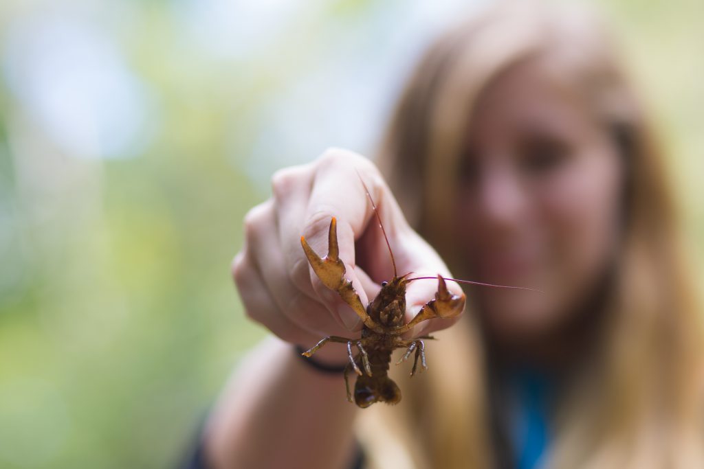 Looking for Christian Colleges with Biology majors? Grace College Biology degree equips students to study & marvel in God’s design. Visit us!