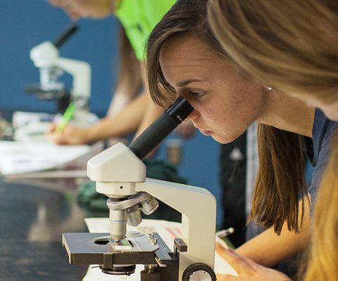 Students using microscope