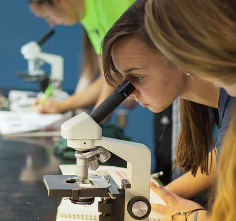 Students using microscope