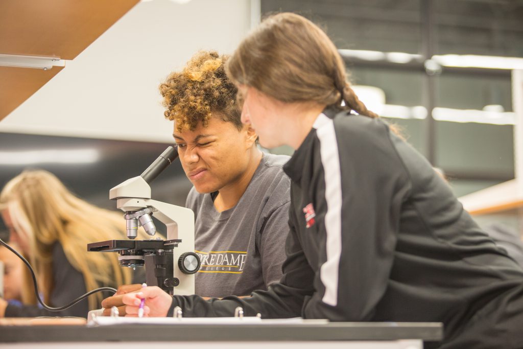 Students using a microscope