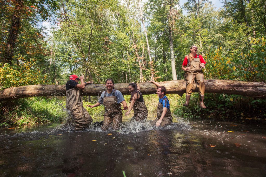 Students jumping off a log into a stream in outdoor ecology lab