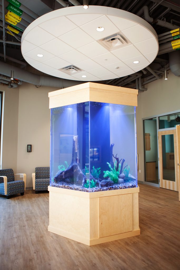 Science Center freestanding fish tank