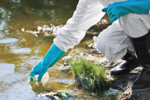 Looking for colleges with Environmental Studies degree? The Environmental Studies Major at Grace works with the Center for Lakes & Streams.