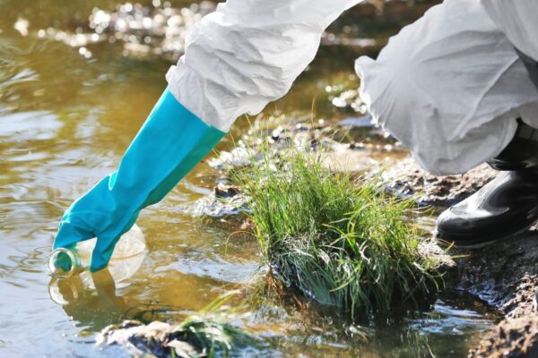 Looking for colleges with Environmental Studies degree? The Environmental Studies Major at Grace works with the Center for Lakes & Streams.