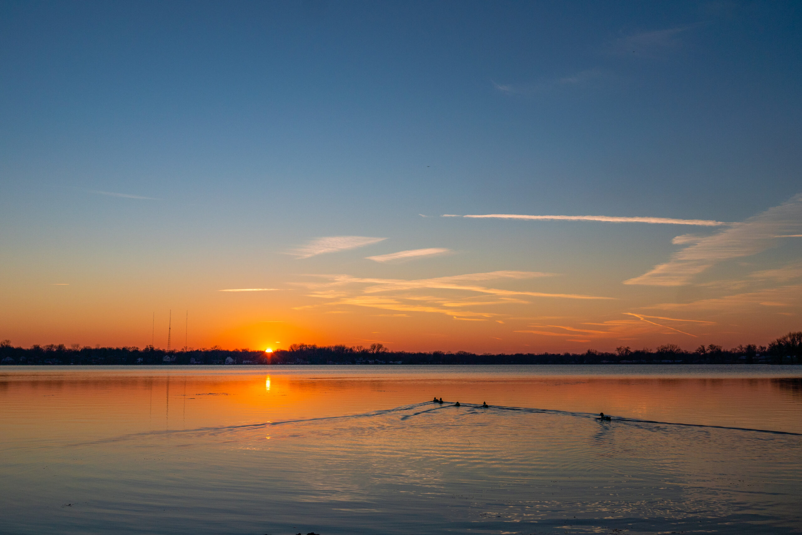 Grace College we like putting art in science and making art part of our STEM Education programs. Check out our Eco Arts Degree and more.