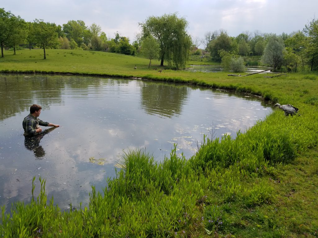 Student testing pond water