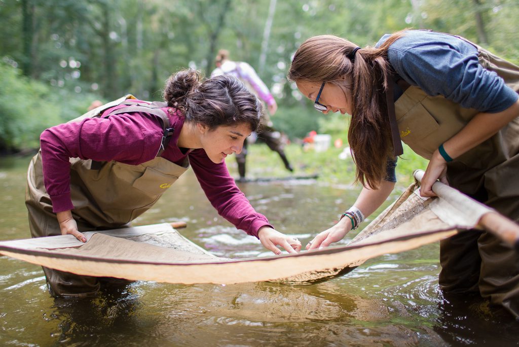 Students in environmental science studying the stream
