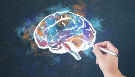 Grace College’s Behavioral Science Minor prepares students to study human behavior. Learn about the minor in behavioral science.