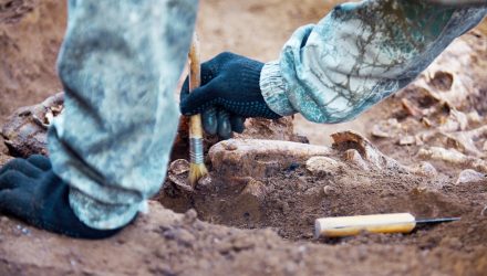 Grace College offers an Archaeology Minor. Learn about our history and archaeology degree hands on with the Winona History Center.