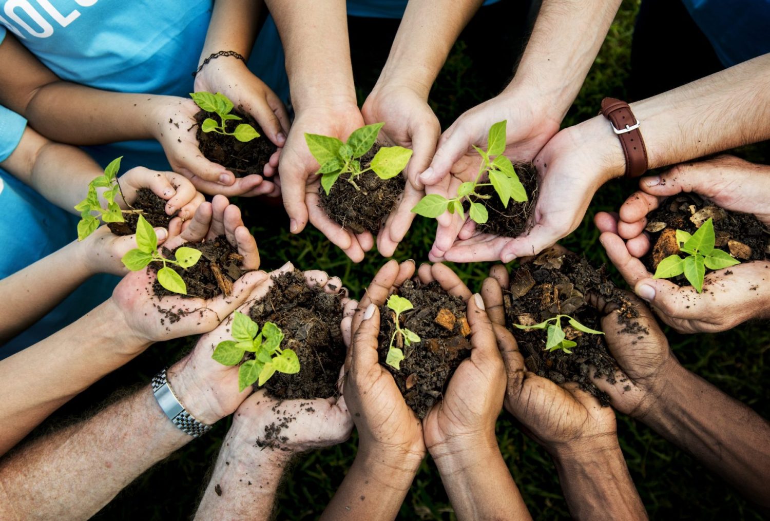 Sustainable Agriculture - Grace College &amp; Seminary