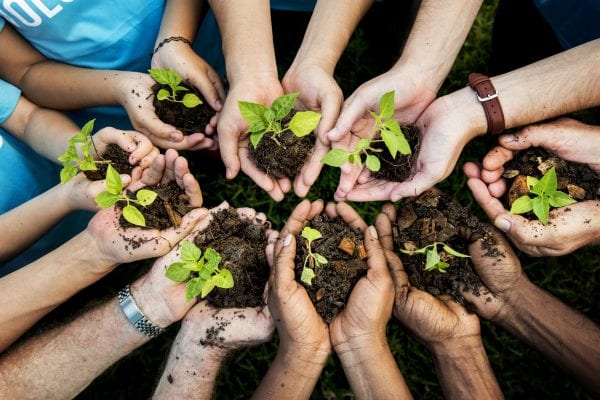 sustainable agriculture degree