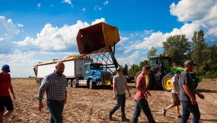 Tobe Forshtay Agriculture professor teaches sustainable farming Harvest