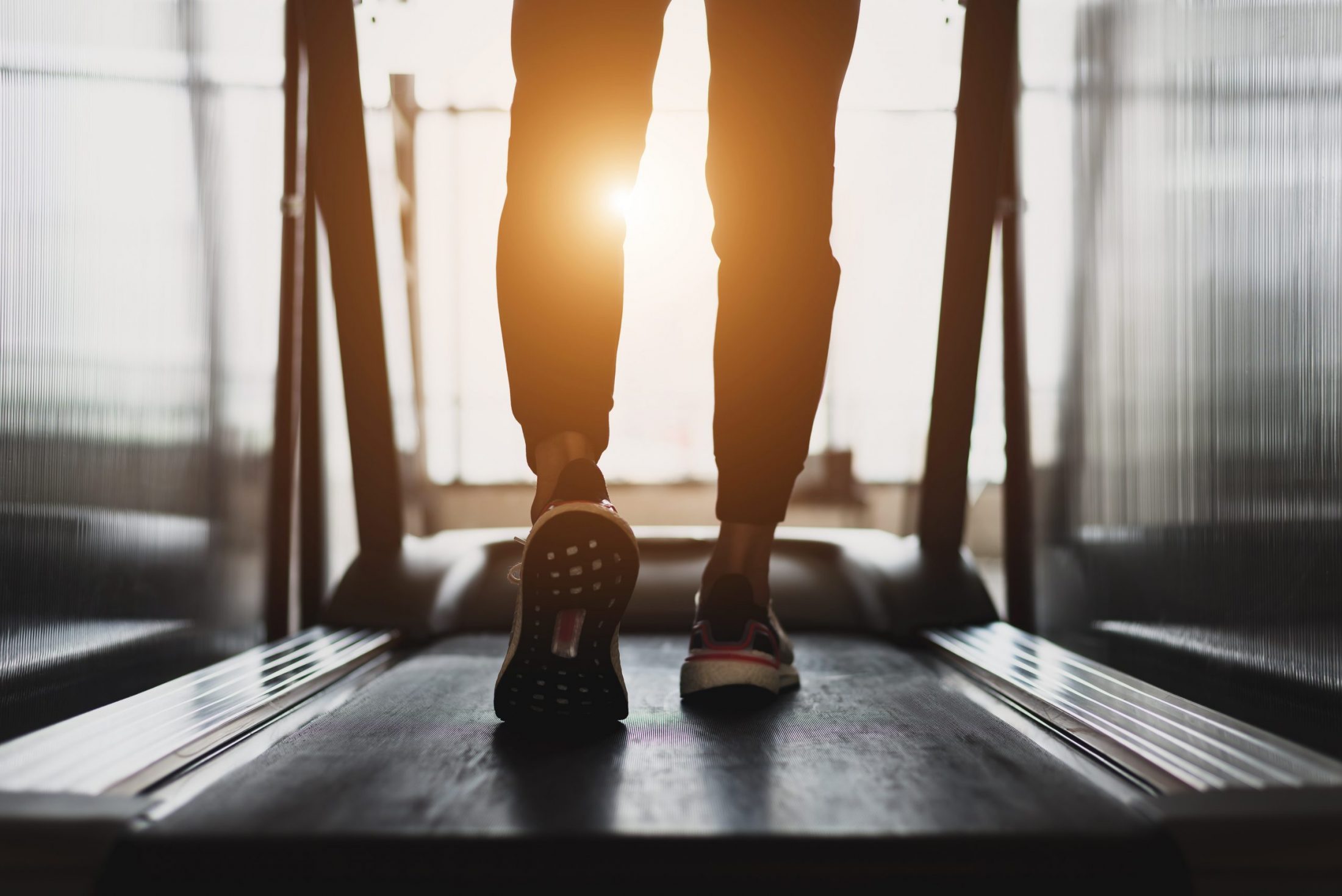 Grace offers a college for physical therapy with hands-on learning and a Christian perspective. Learn about our Pre-Physical Therapy Degree!