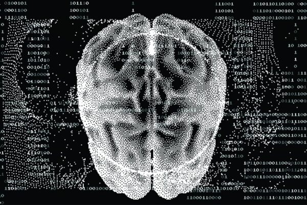 Grace College Neurobiology Degree learn how the brain functions in controlling human behavior and thoughts. Neurobiology Major - See More.