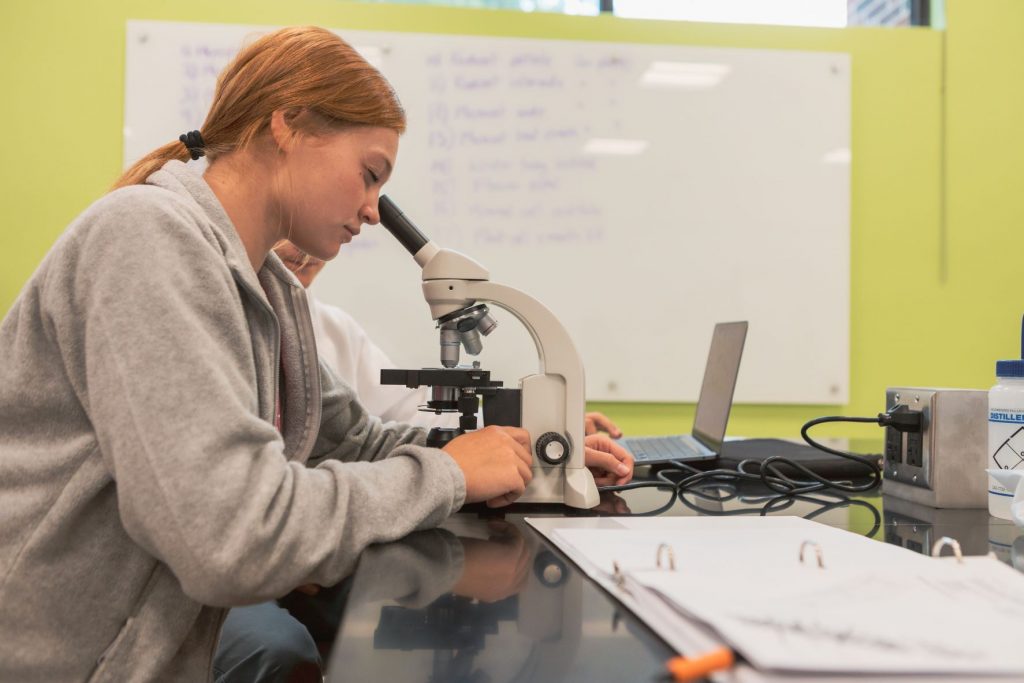 Grace College recently added a concentration in neurobiology to its portfolio of more than 100 majors, minors and concentrations.