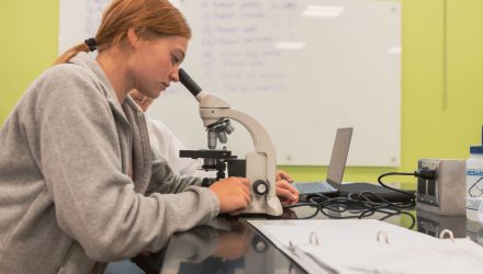 Grace College recently added a concentration in neurobiology to its portfolio of more than 100 majors, minors and concentrations.