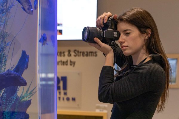Learn about Ecological Art and Photography Programs at Grace College in Indiana. Find your passion and path with Art & Ecology.