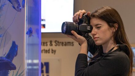 Learn about Ecological Art and Photography Programs at Grace College in Indiana. Find your passion and path with Art & Ecology.