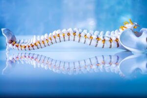 Health Science Major with Pre-Chiropractic Programs at Grace College, a Christian College prepare you for graduate school & healthcare field.
