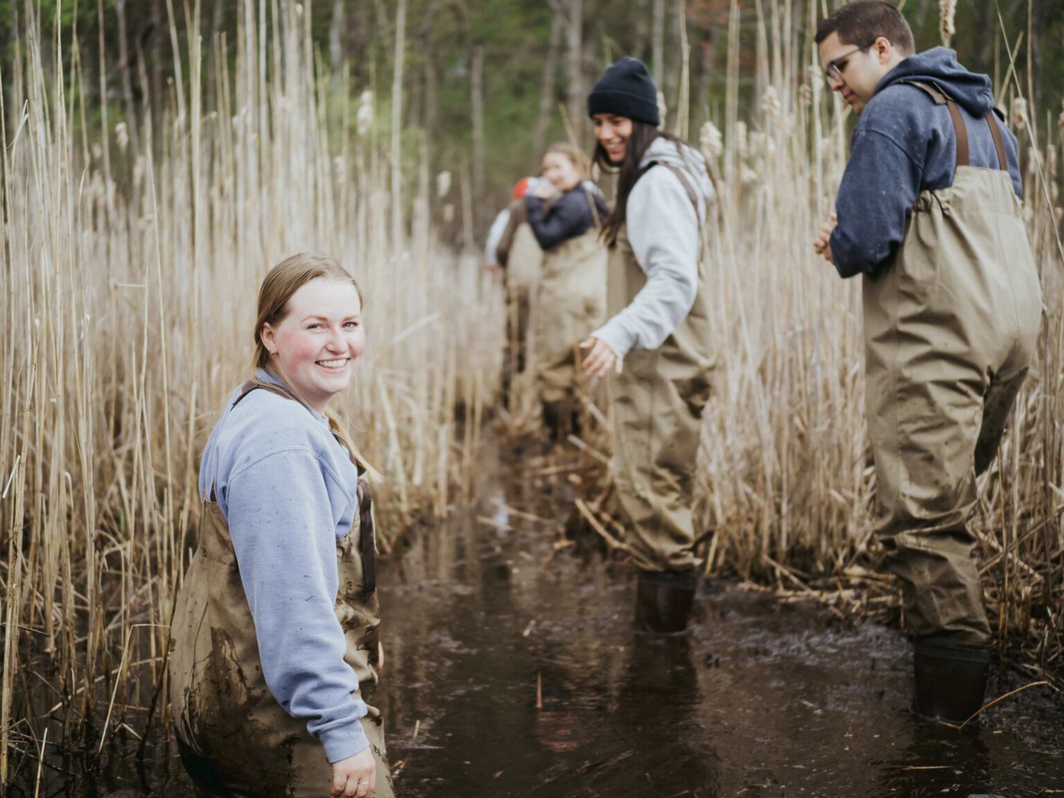 Environmental Science vs Environmental Studies vs Environmental