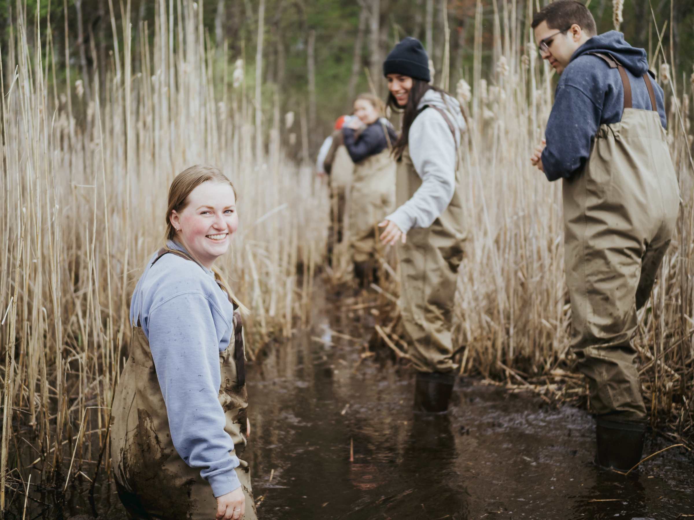 Environmental Science vs Environmental Studies vs Environmental Biology. Grace College explores the differences and equips you for careers.