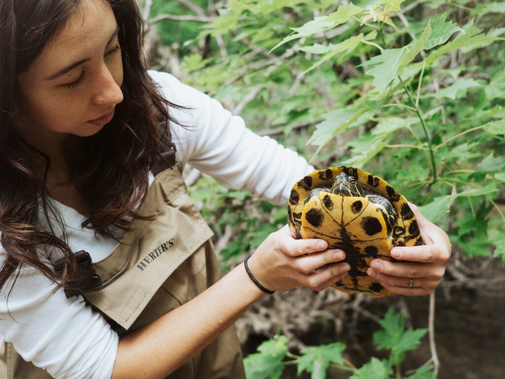 Discover the best college for environmental science. With the Lilly Center, Grace College is a top school for environmental science. Christian colleges with environmental science majors