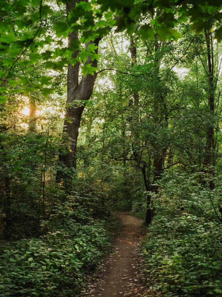 Read about caring for God's creation with an Environmental science degree. Grace College is a Christian College in Indiana. Learn More today.
