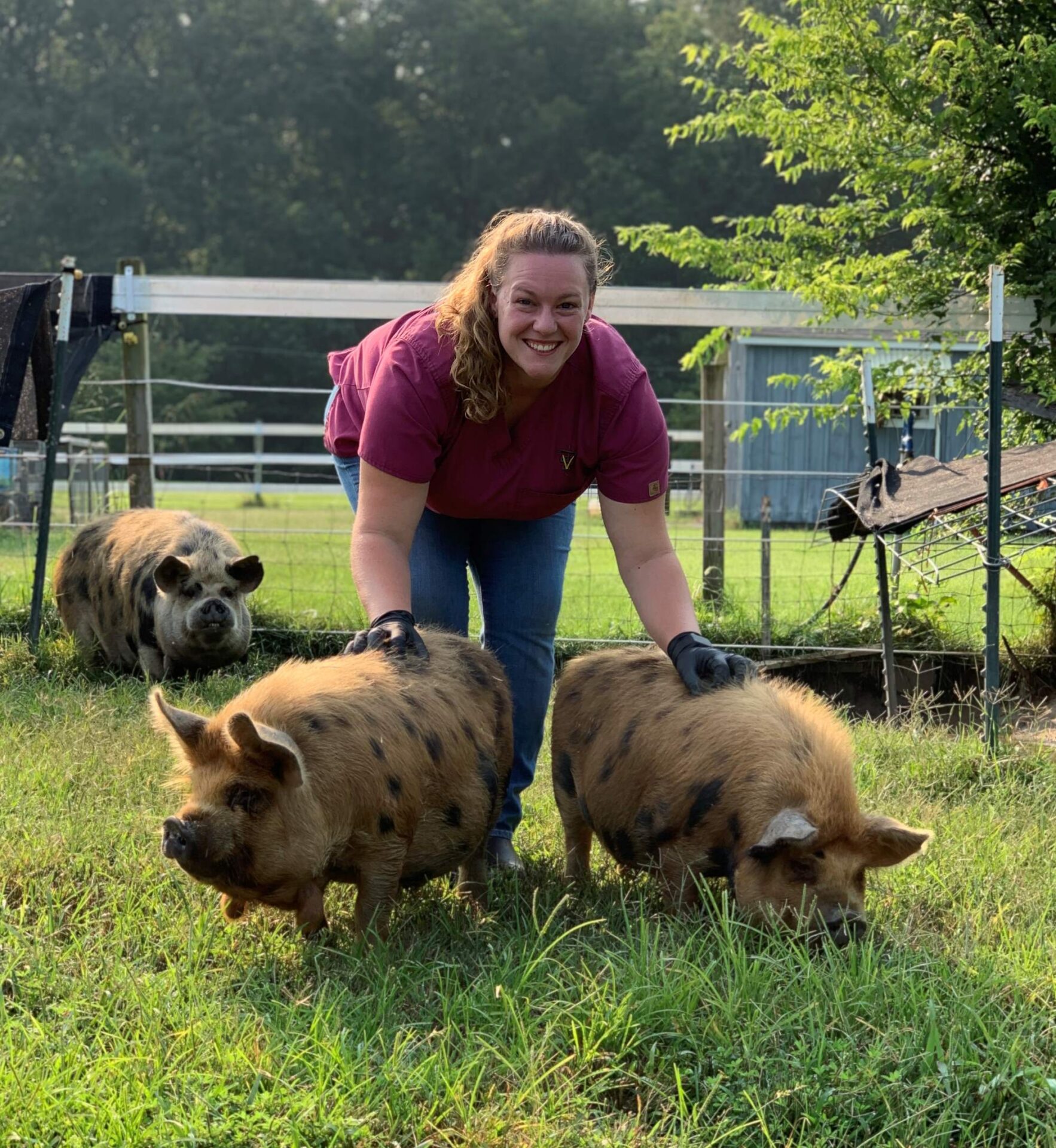 Looking for a Pre-Vet program at a Christian College? Grace College in Indiana helps equip you for your calling to pre-veterinary medicine.