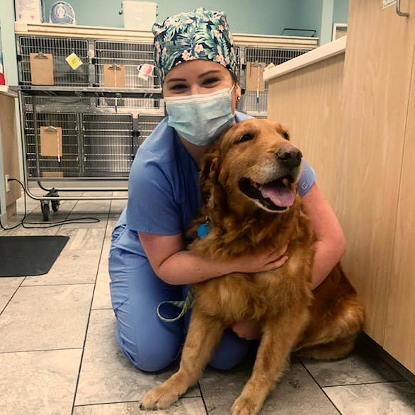 Pursuing a health science major with a concentration in pre veterinary medicine. Grace College helps you fulfill your calling. Apply today.