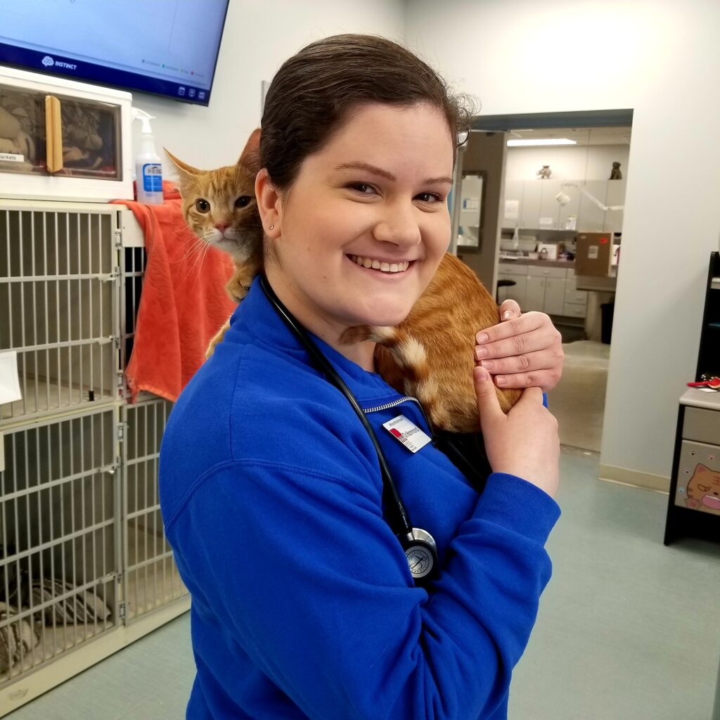 Pursuing a health science major with a concentration in pre veterinary medicine. Grace College helps you fulfill your calling. Apply today.