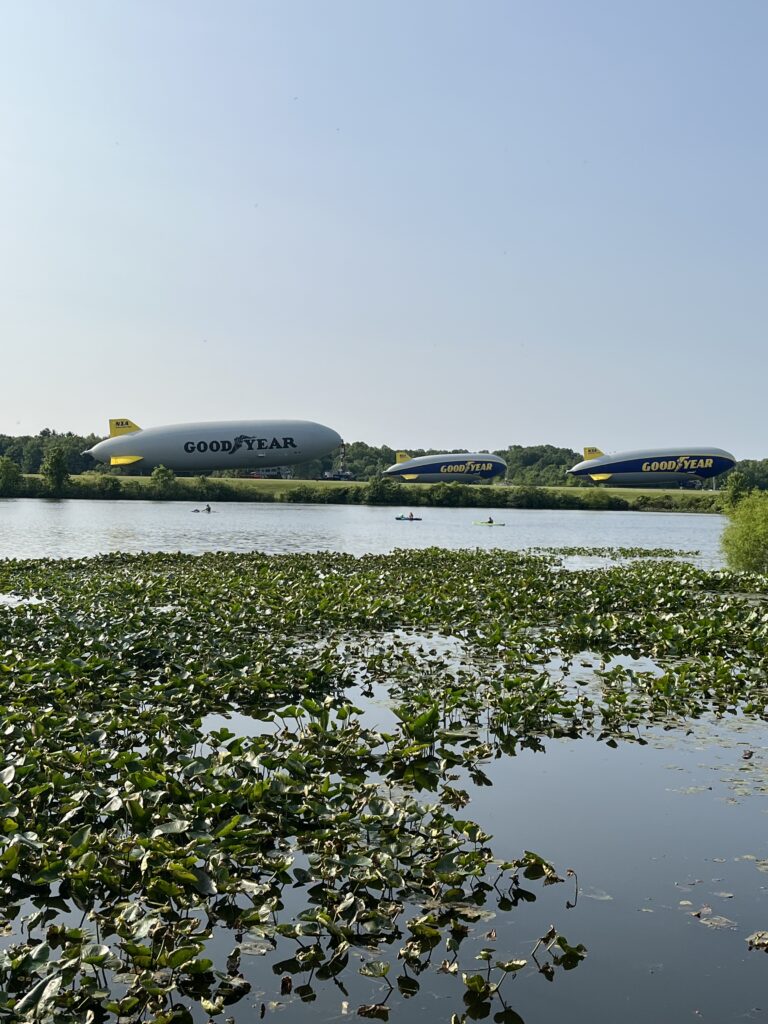 Discover the Environmental Studies Degrees at Grace College. Work at the Lilly Center to prepare for environmental studies careers. Apply Now