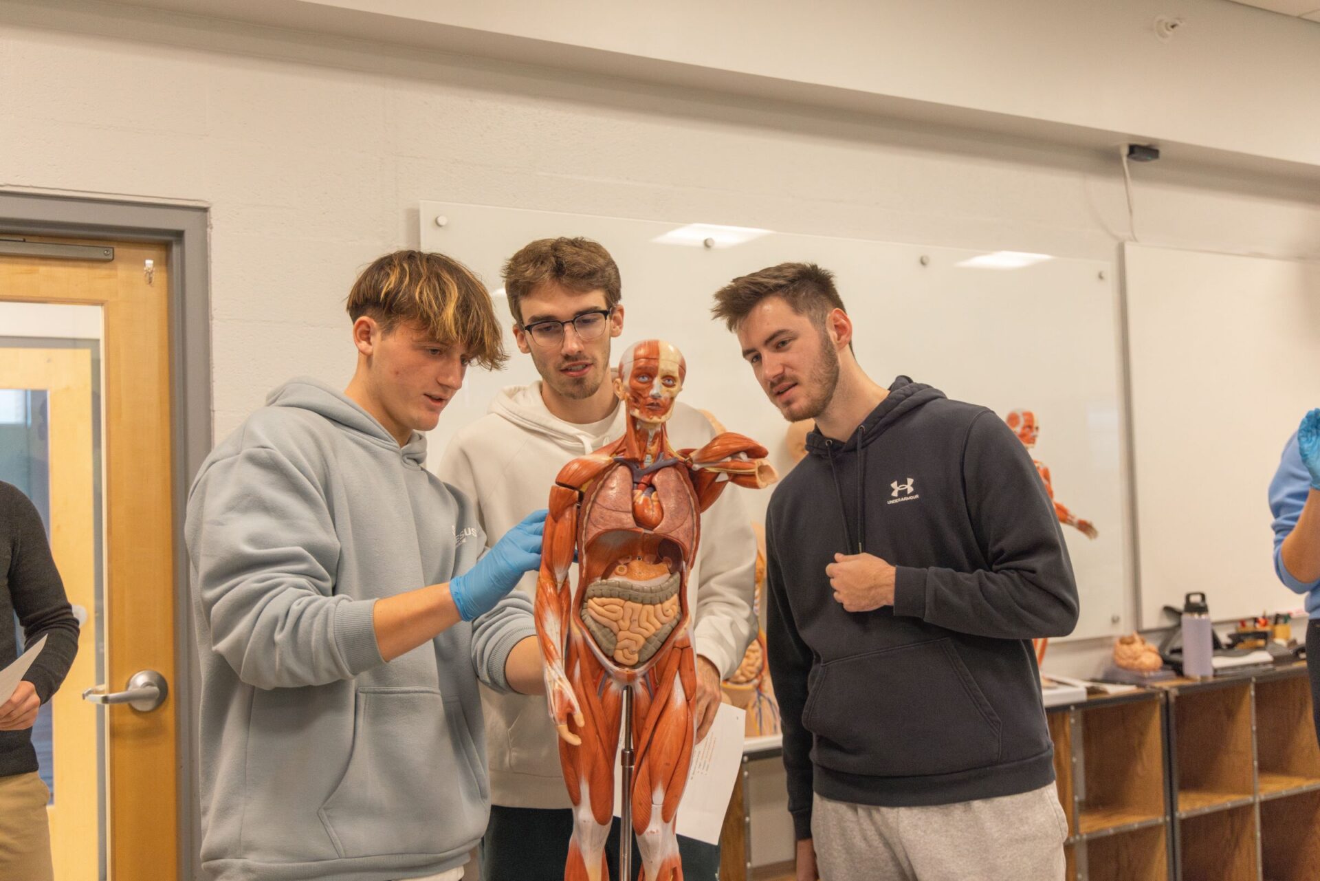 The Health Science Program at Grace College prepares you for Graduate school. With small class sizes and mentoring Christian Professors.